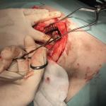 Endoscopy and Thoracotomy in veterinary