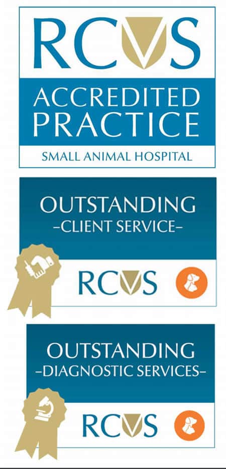 Outstanding RCVS Awards