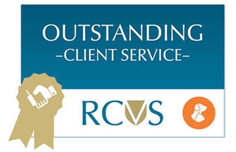 outstanding client service award